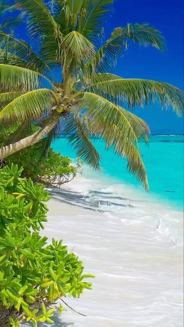 Wonderful Maldives.