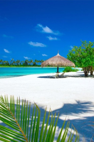 Wonderful Maldives.